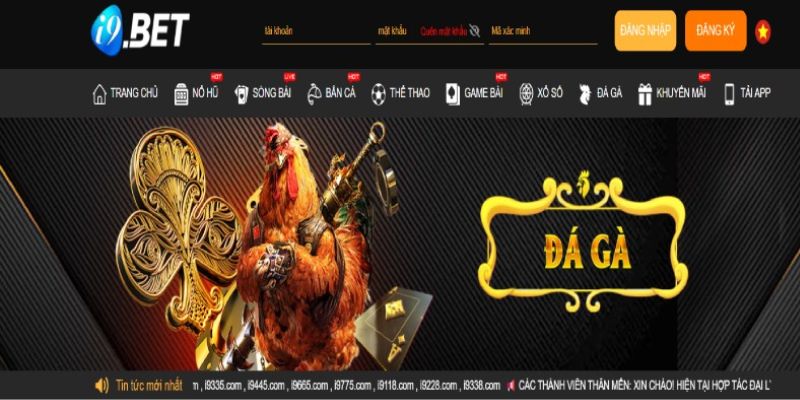 Đổi mật khẩu I9Bet nhằm bảo vệ tài khoản được an toàn hơn